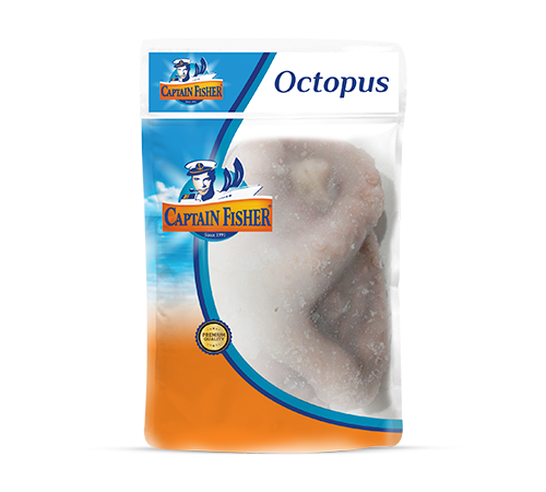 Octopus
